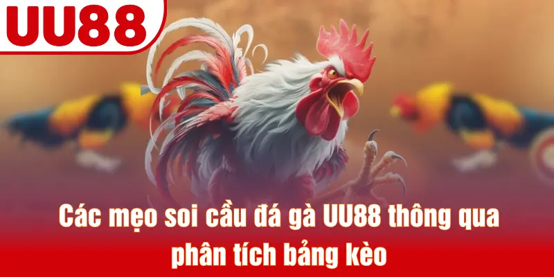 Các mẹo soi cầu đá gà UU88 thông qua phân tích bảng kèo