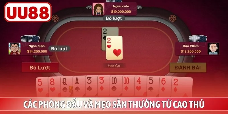 Các phòng đấu và mẹo săn thưởng từ cao thủ