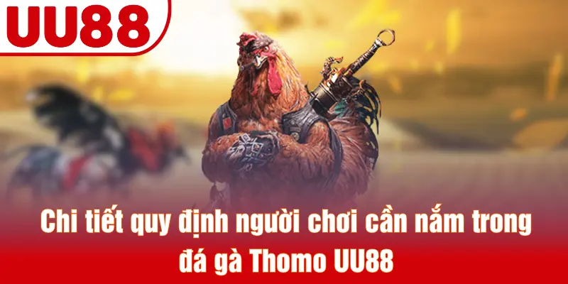 Chi tiết quy định người chơi cần nắm trong đá gà Thomo UU88