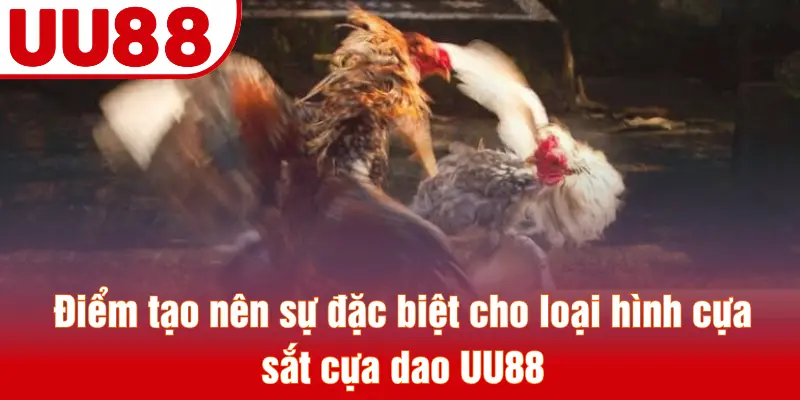 Điểm tạo nên sự đặc biệt cho loại hình cựa sắt cựa dao UU88