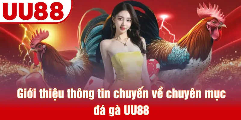Giới thiệu thông tin chuyến về chuyên mục đá gà UU88
