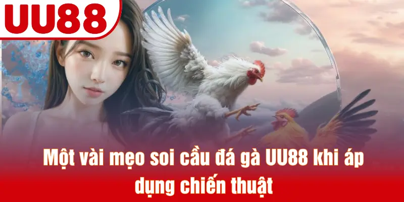 Một vài mẹo soi cầu đá gà UU88 khi áp dụng chiến thuật