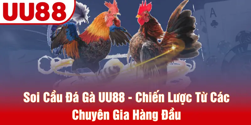 Soi Cầu Đá Gà UU88 - Chiến Lược Từ Các Chuyên Gia Hàng Đầu