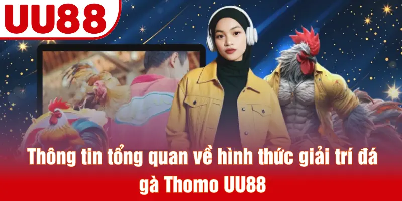 Thông tin tổng quan về hình thức giải trí đá gà Thomo UU88
