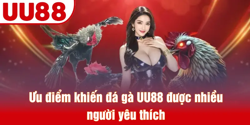 Ưu điểm khiến đá gà UU88 được nhiều người yêu thích